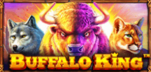 Buffalo King
