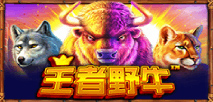 Buffalo King