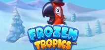 Frozen Tropics