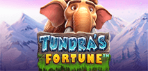Tundra's Fortune