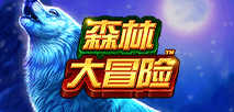 森林大冒險