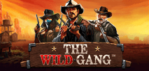 The Wild Gang