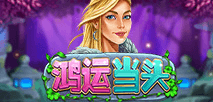 鴻運當頭