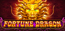 Fortune Dragon