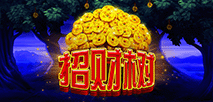招財樹