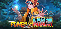 Power of Ninja