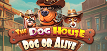 The Dog House Dog or Alive