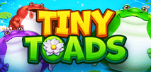 Tiny Toads