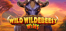 Wild Wildebeest Wins