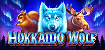 Serigala Hokkaido
