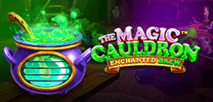 The Magic Cauldron Enchanted Brew
