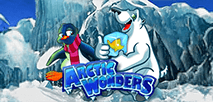 Arctic Wonders