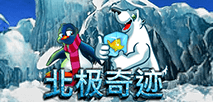 北极奇迹