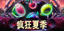 疯狂夏季