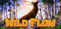 Wild Flow