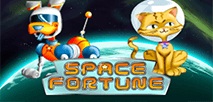 Space Fortune