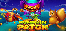 Pumpkin Patch