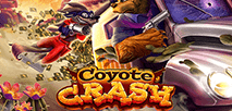 Coyote Crash