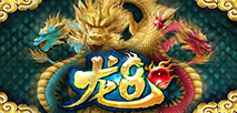 龙8