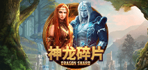 Dragon Shard