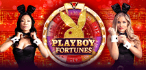 Playboy Fortunes
