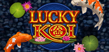 Lucky Koi
