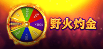 野火灼金