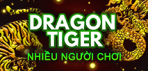 Dragon Tiger Multiplayer