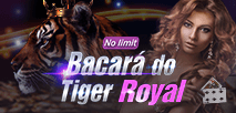 Bacará Tigre Real