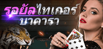 รอยัลไทเกอร์บาคารา