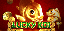 Lucky Koi