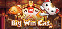 Big Win Cat