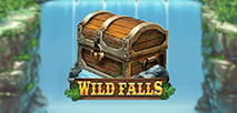 Wild Falls