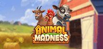 Animal Madness
