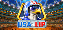USA Flip