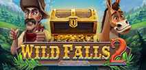 Wild Falls 2