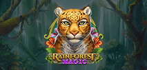 Rainforest Magic