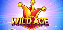 Wild Ace