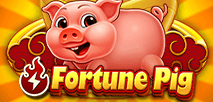 Fortune Pig