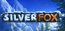 Silver Fox