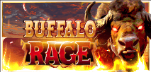 Buffalo Rage