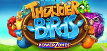 Power Zones Thunder Birds
