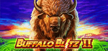 Buffalo Blitz II