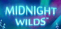 Midnight Wilds