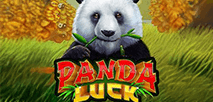 Panda Luck