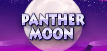 Panther Moon