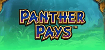 Panther Pays