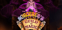 Sorcerer's Guild of Magic