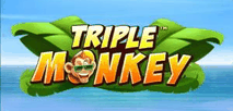 Triple Monkey