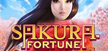 Sakura Fortune